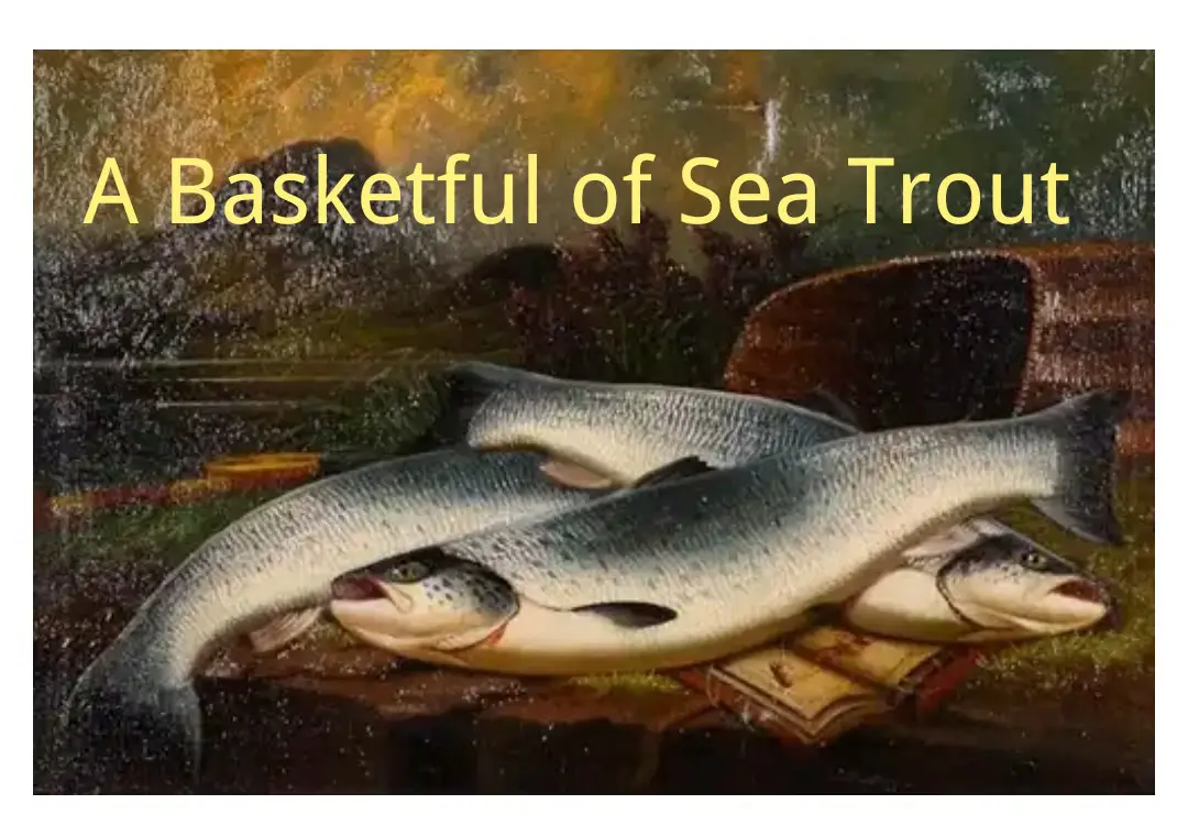 A Basketful of Sea Trout Summary And Questions 1