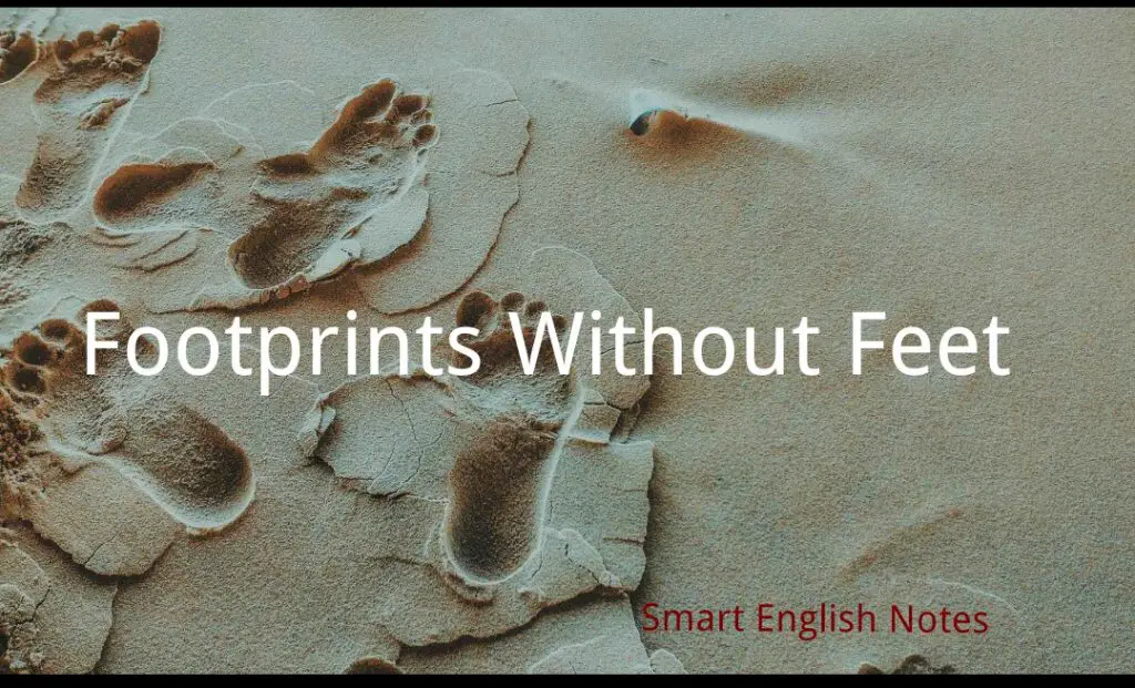 footprints-without-feet-summary-questions-answers-class-10-tulip