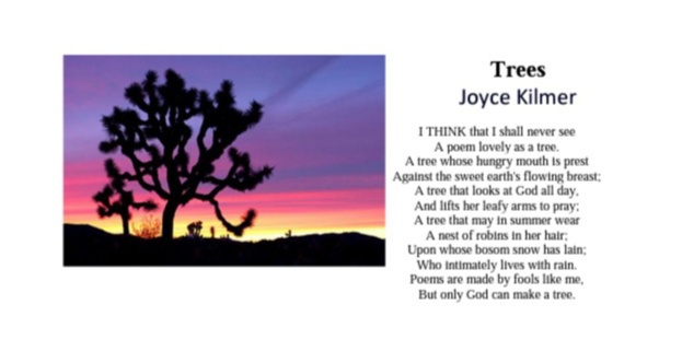Trees by Joyce Kilmer