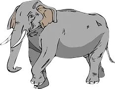 SHOOTING AN ELEPHANT BY GEORGE ORWELL-SUMMARY, EXPLANATION, AND QUESTION
