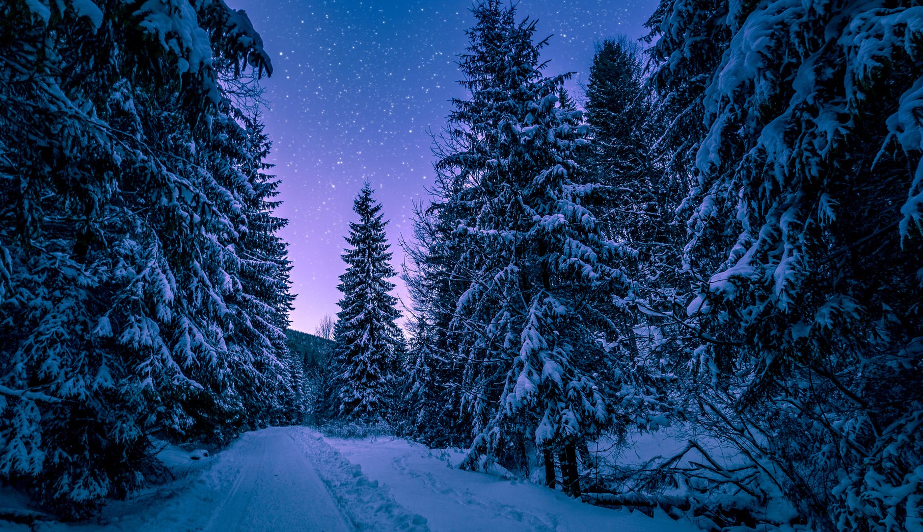 Stopping by Woods on a Snowy Evening