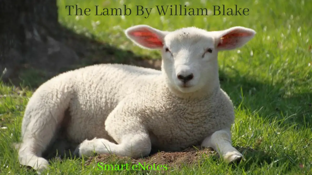 The Lamb By William Blake - Summary And Questions - Smart English Notes