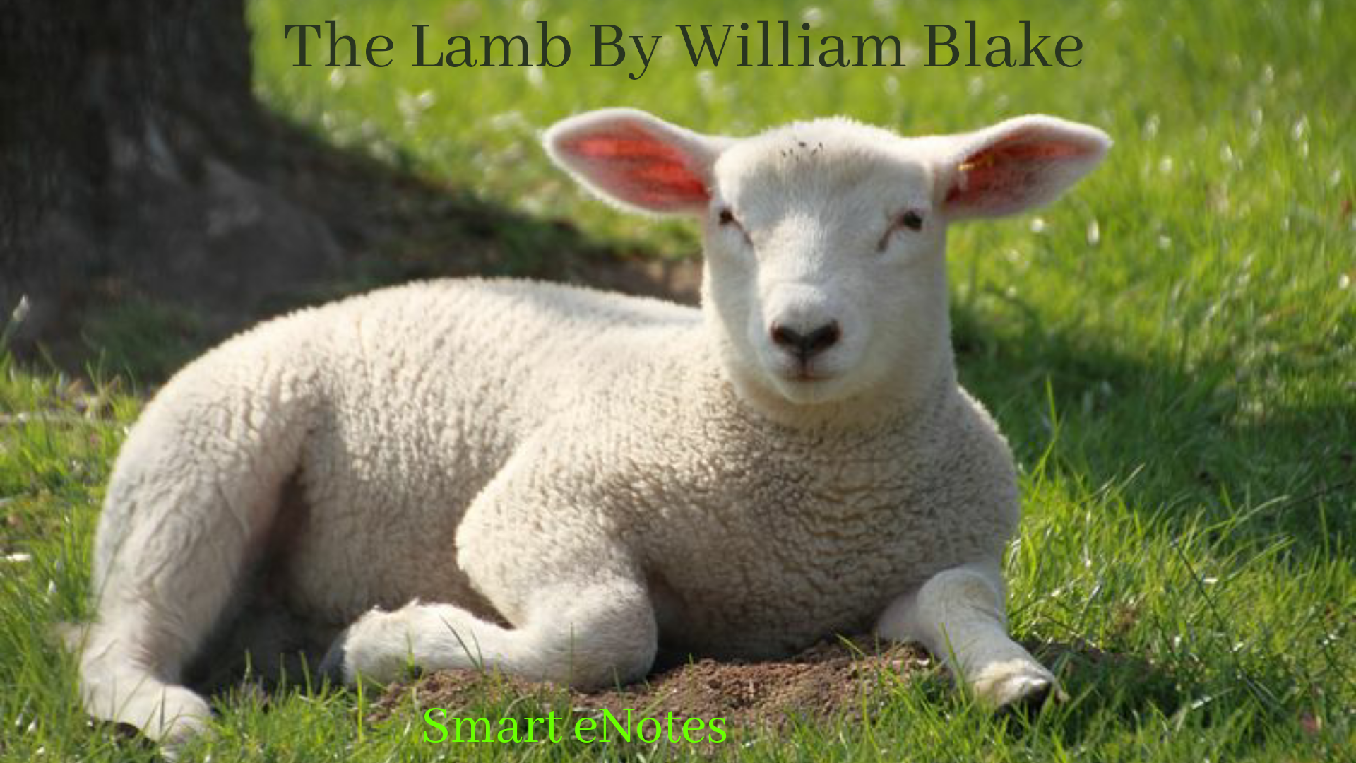 The Lamb by William Blake