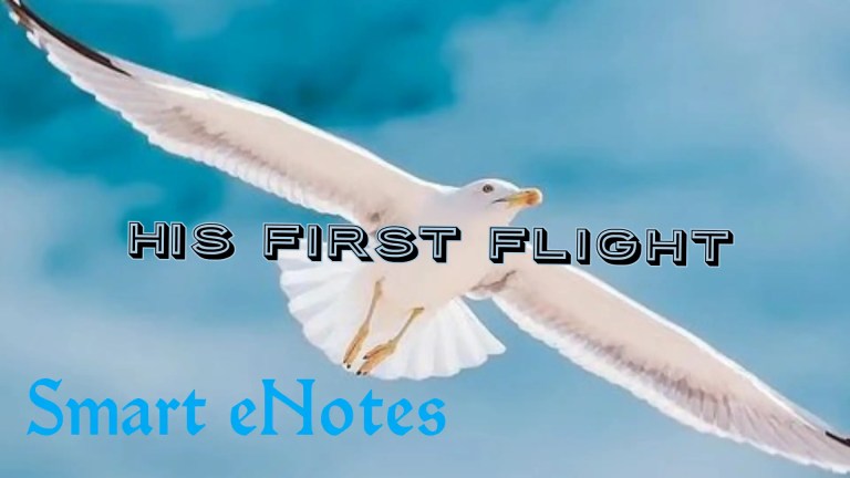 His First Flight By Liam O’Flaherty – Summary and Question Answers Plus Two English