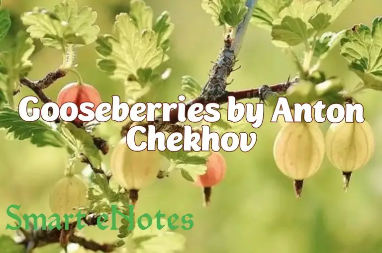 Gooseberries By Anton Chekhov – Summary and Question Answers Plus One English