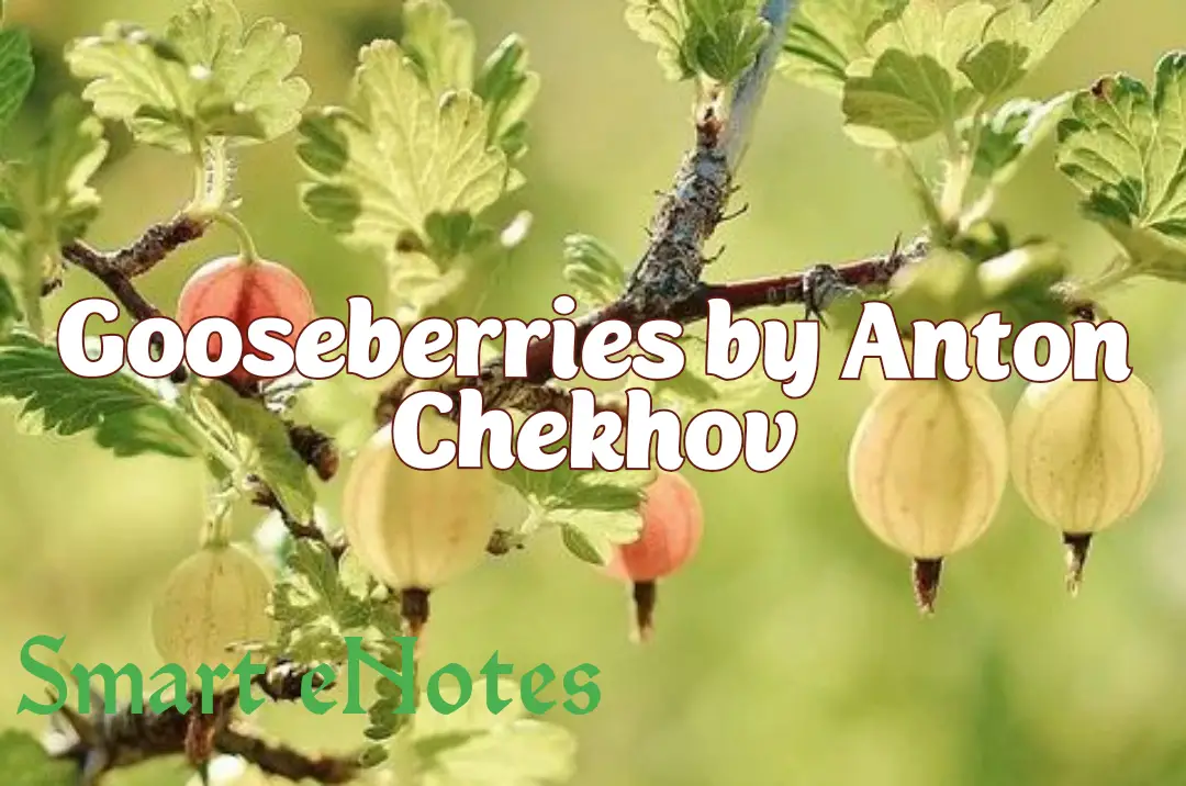Gooseberries By Anton Chekhov - Summary and Question Answers Plus One English 1