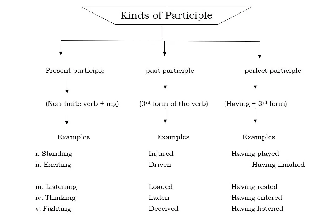 What Are Participles and What Are Its Types 1
