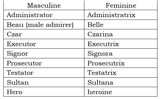 Masculine and Feminine Gender: Rules and List 3
