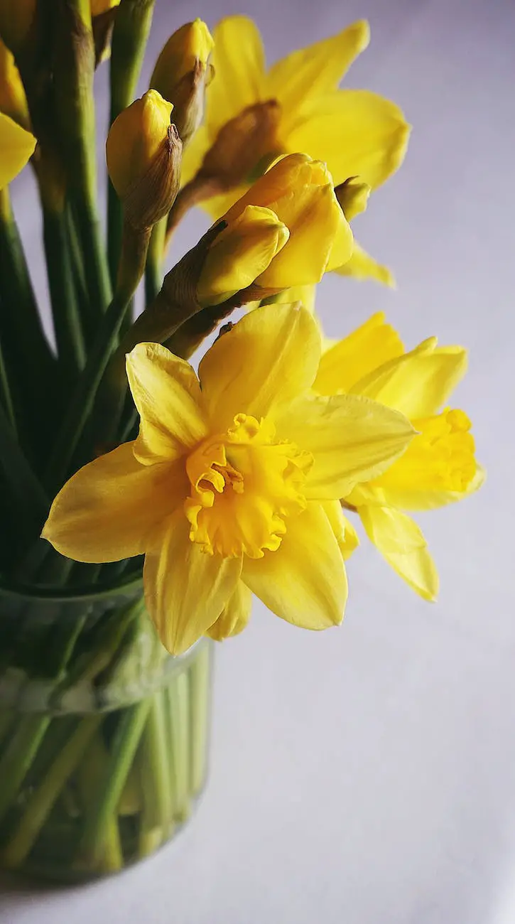 Daffodils Critical Appreciation in 500 Words